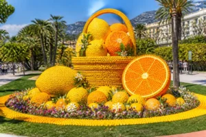 Composition d’agrumes colorés dans les Jardins Biovès, emblématique de la fête du citron à Menton