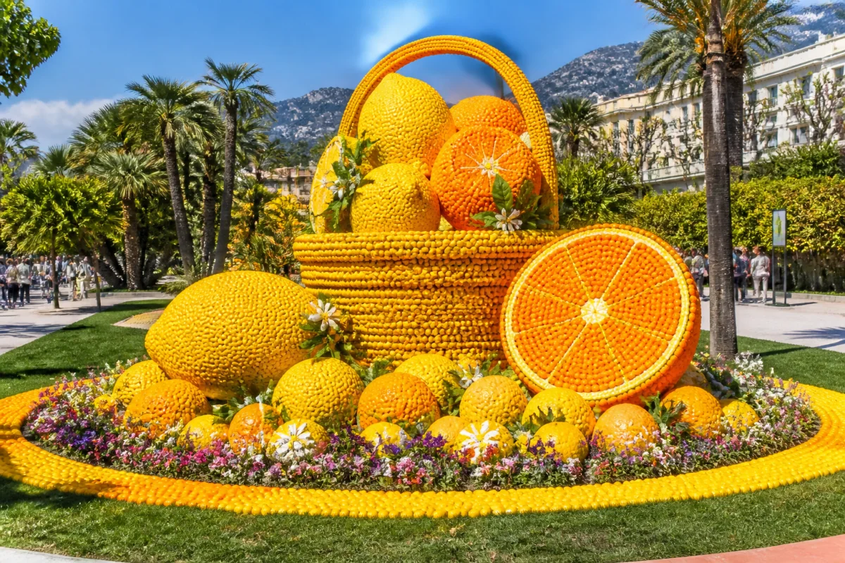 Composition d’agrumes colorés dans les Jardins Biovès, emblématique de la fête du citron à Menton